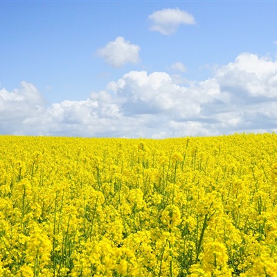 初一英语1对1托管辅导