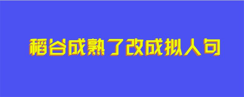 稻谷成熟了改成拟人句