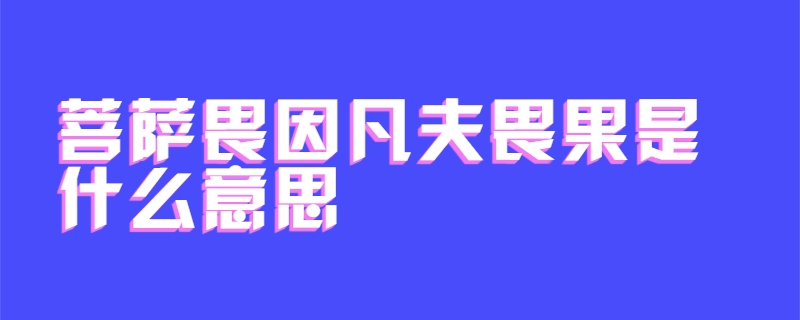 菩萨畏因凡夫畏果是什么意思