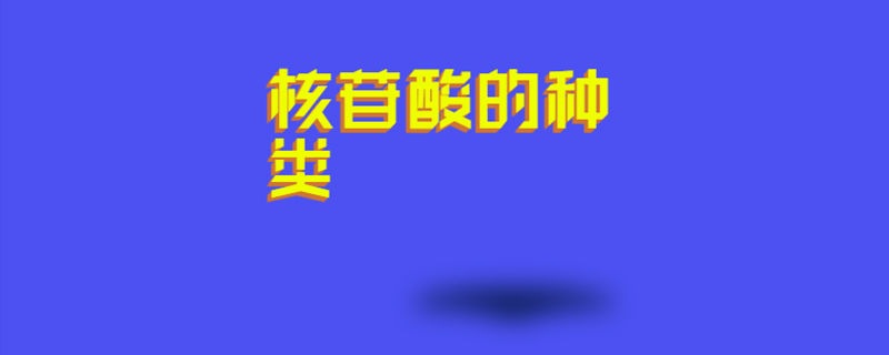 核苷酸的种类