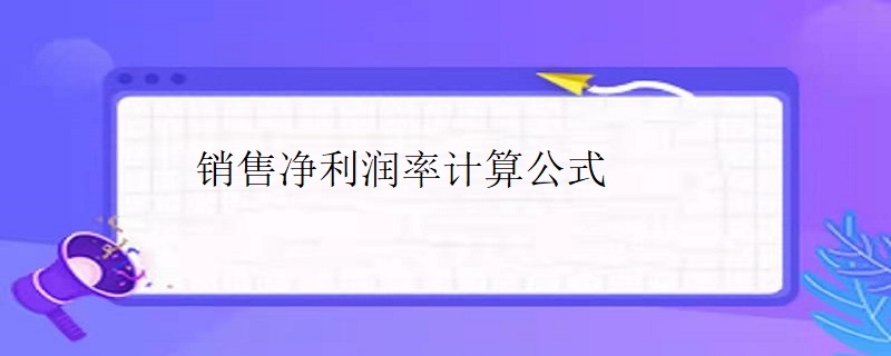 銷售淨利潤率計算公式