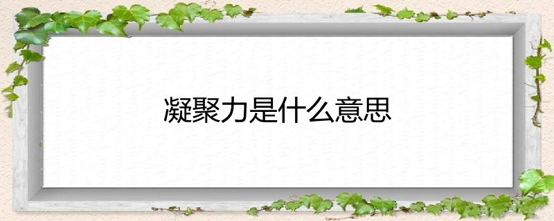 凝聚力是什么意思