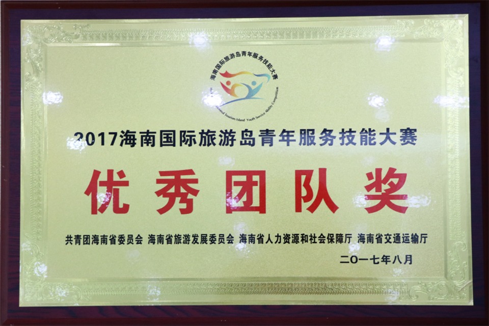 共青团海商省委员会-优秀团队奖