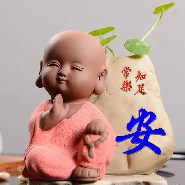 会计学专升本培训班