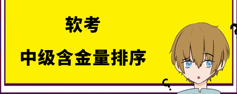 軟考中級含金量排序