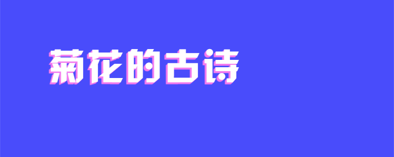 菊花的古诗