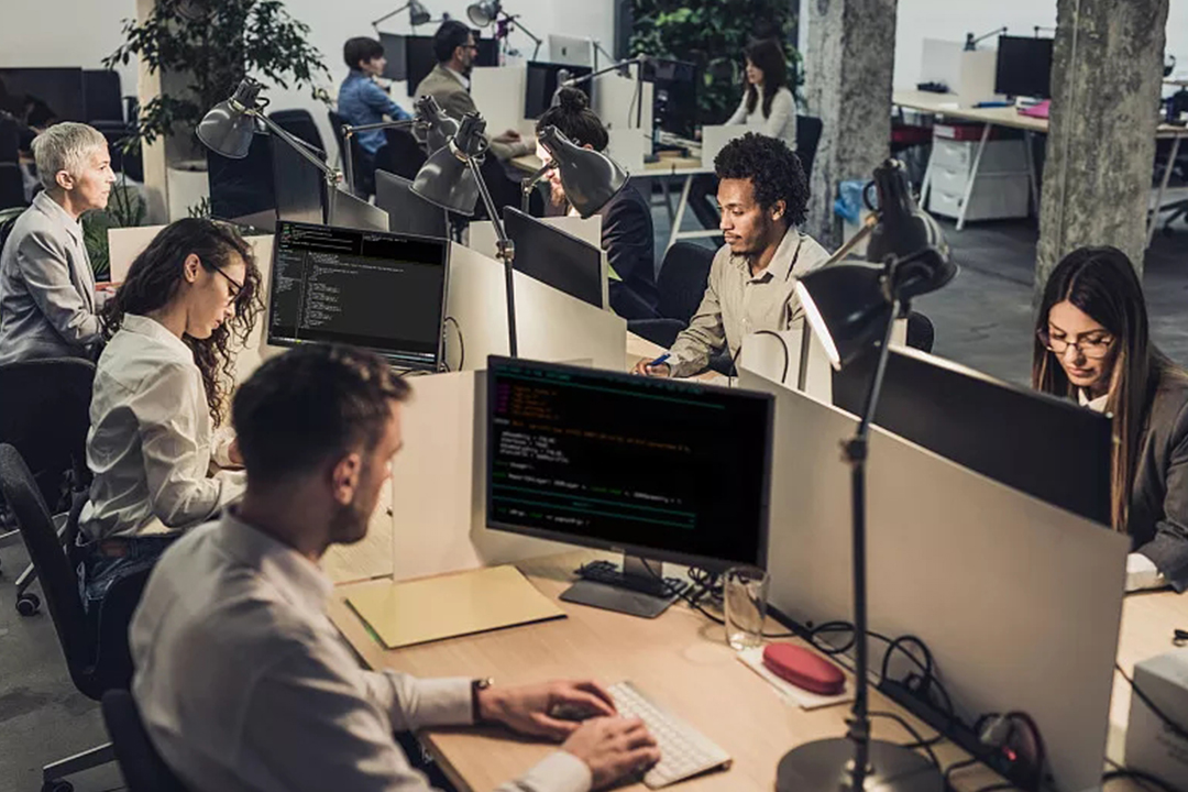 事业单位是什么职业