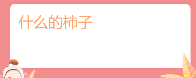 什么的柿子