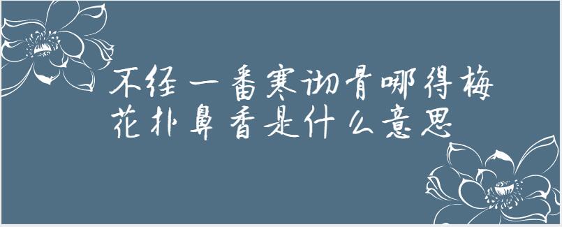 不经一番寒彻骨哪得梅花扑鼻香是什么意思
