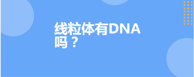 线粒体有DNA吗？