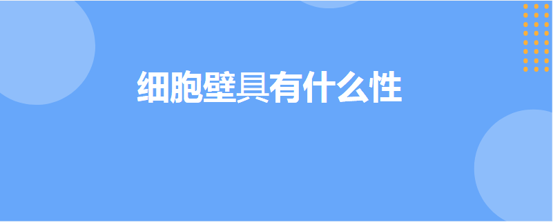 细胞壁具有什么性