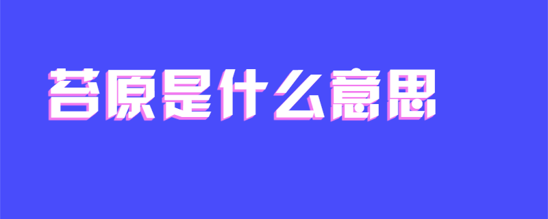 苔原是什么意思