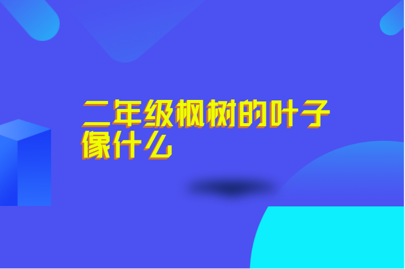二年级枫树的叶子像什么