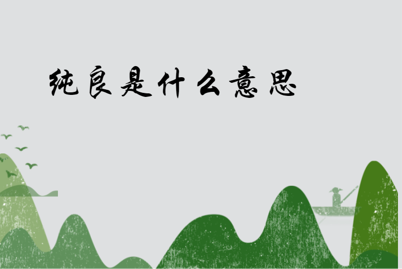 纯良是什么意思