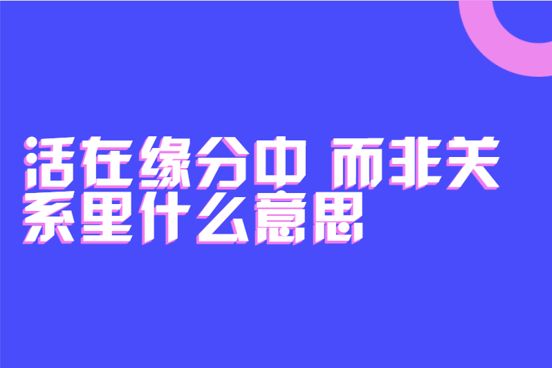 活在缘分中 而非关系里什么意思