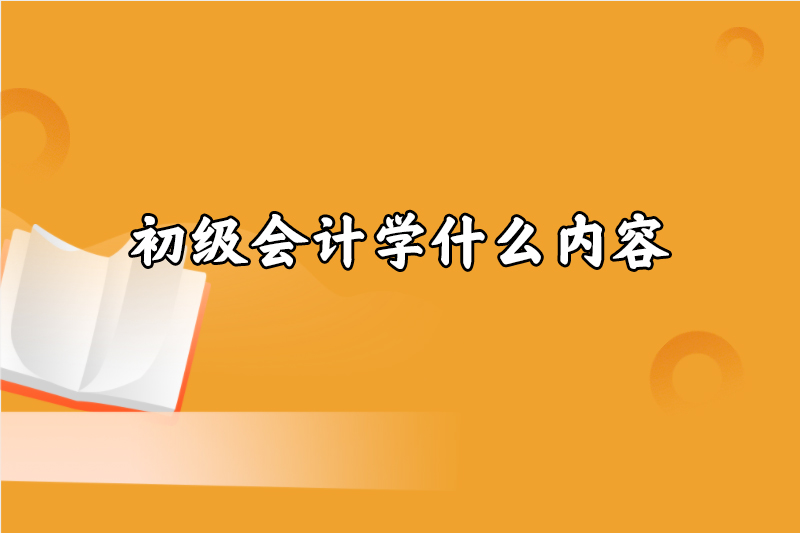 初级会计学什么内容