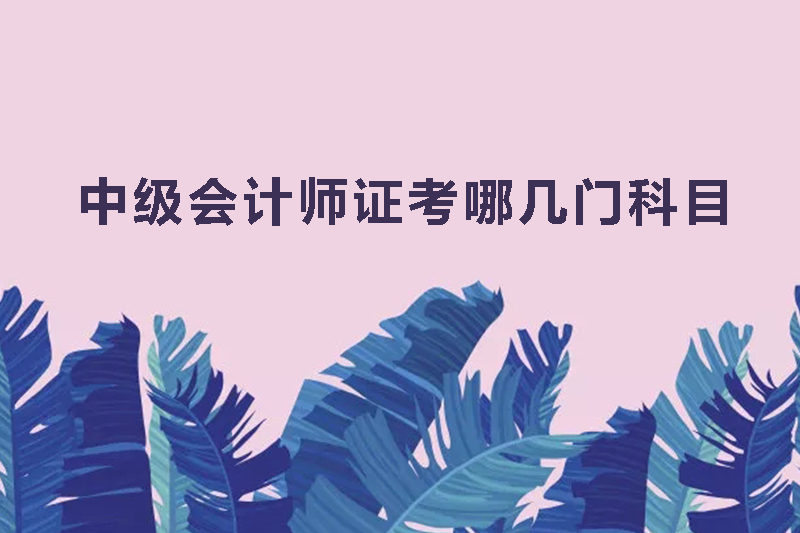 中级会计师证考哪几门科目