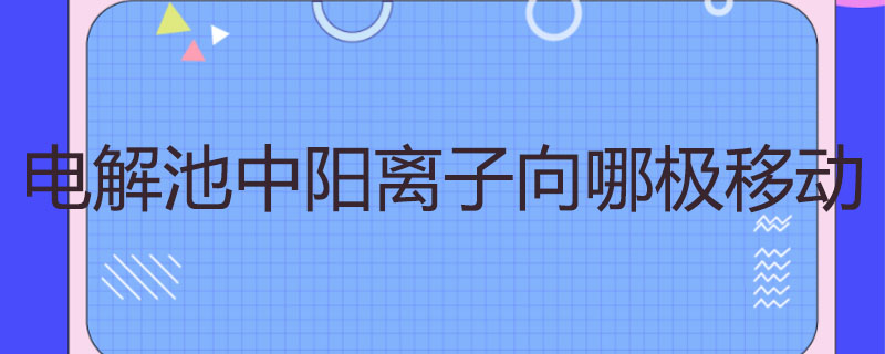 电解池中阳离子向哪极移动