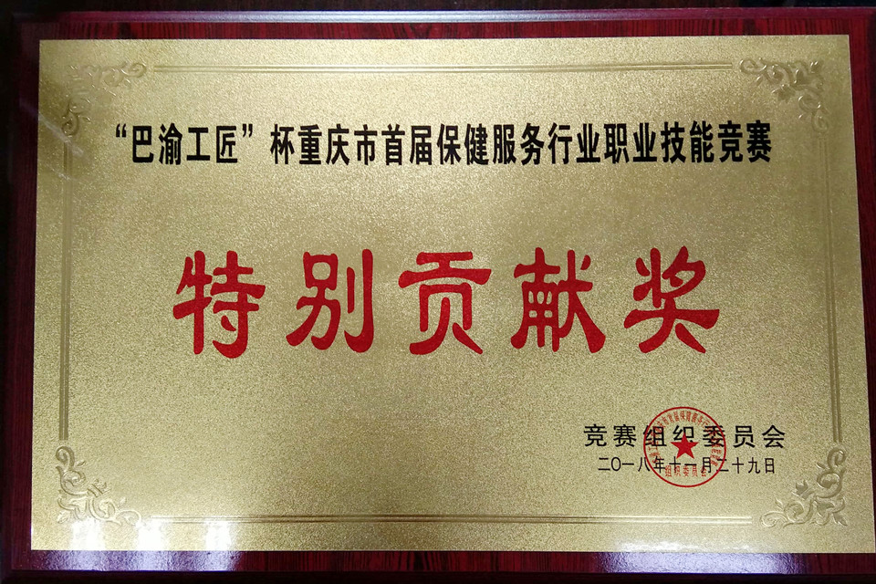 "巴渝工匠"杯特别贡献奖