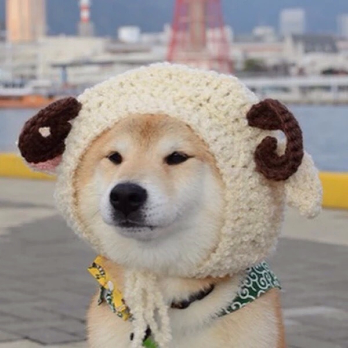 二级建造师优学培训班