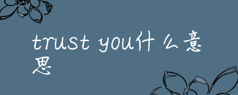 trust you什么意思