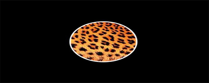 窥一斑而知全豹是知觉的什么特性