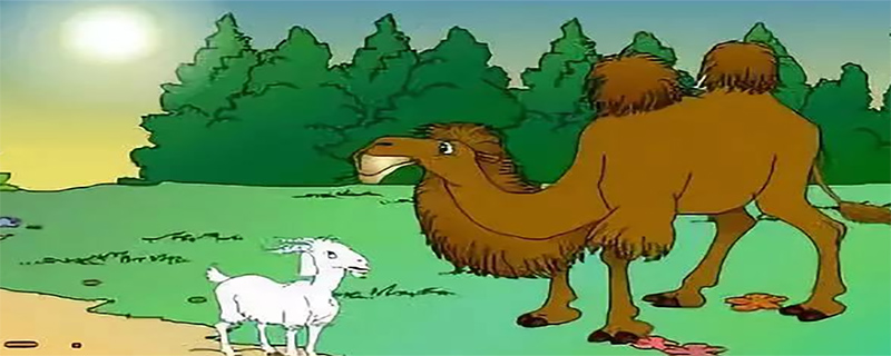 骆驼和羊告诉我们一个什么道理