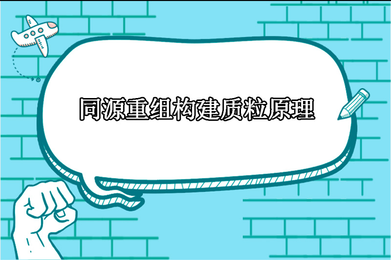 同源重组构建质粒原理