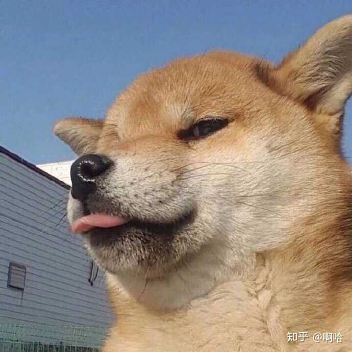 张坤   6月前 老师非常细心,讲的很明白,每次都有新的收获.