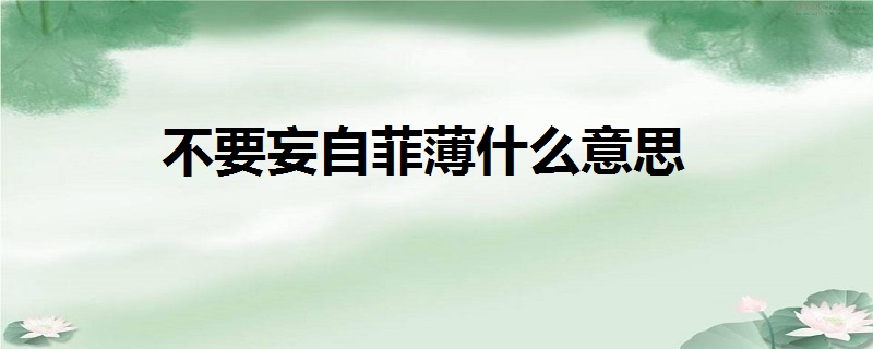 不要妄自菲薄什么意思