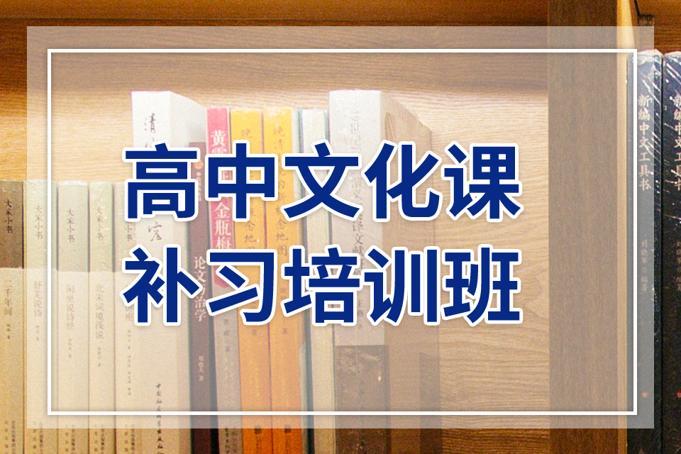 高中文化課補習培訓班