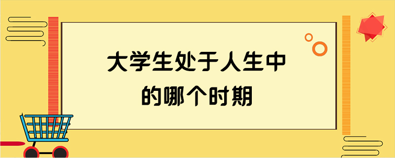 大学生处于人生中的哪个时期