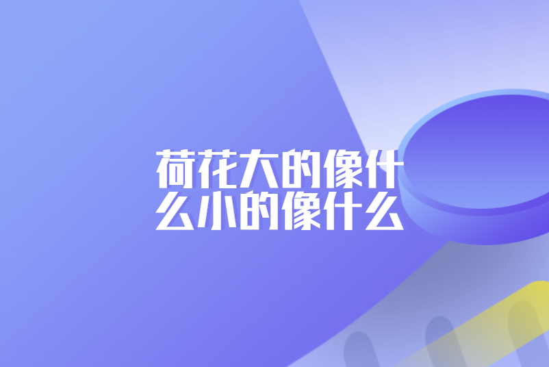 荷花大的像什么小的像什么