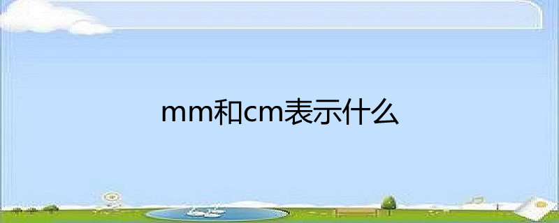 mm和cm表示什么