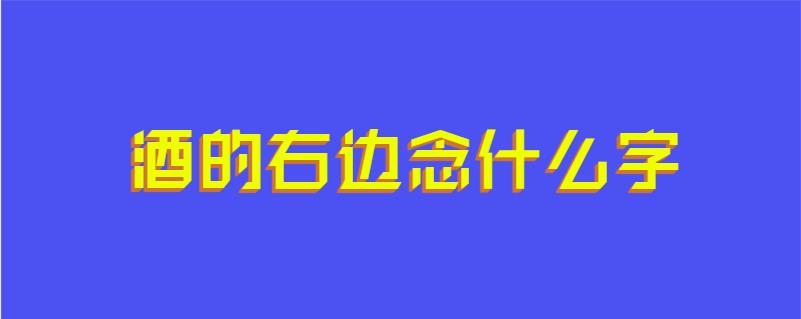 酒的右边念什么字