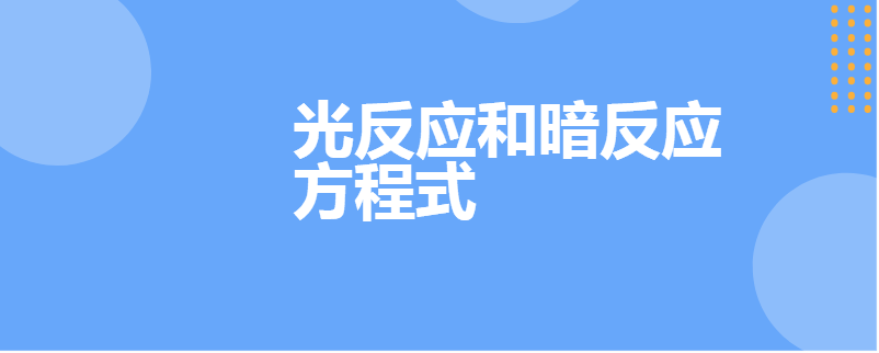 光反应和暗反应方程式