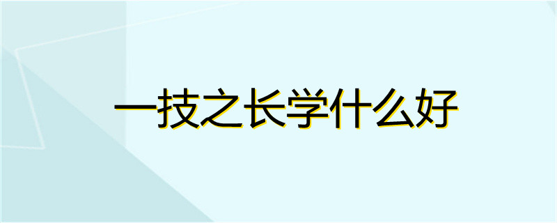 一技之长学什么好