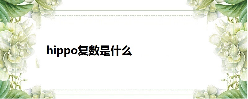 hippo复数是什么