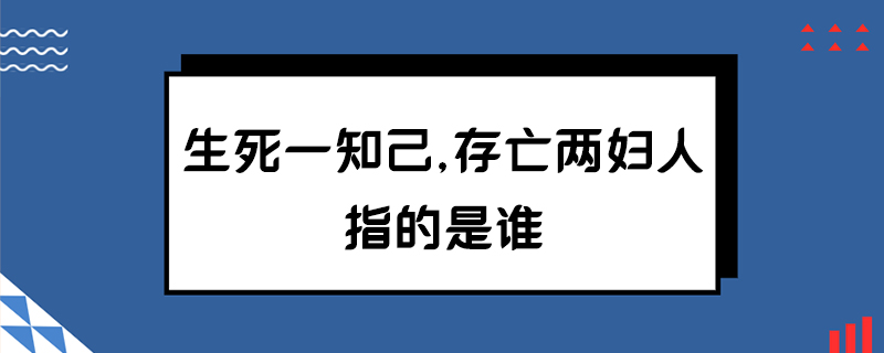 生死一知己,存亡两妇人指的是谁