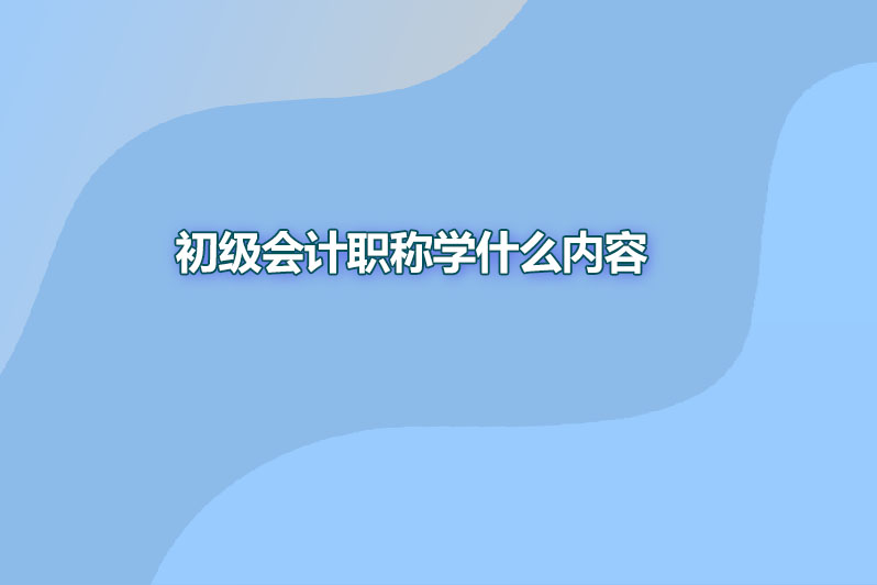 初级会计职称学什么内容