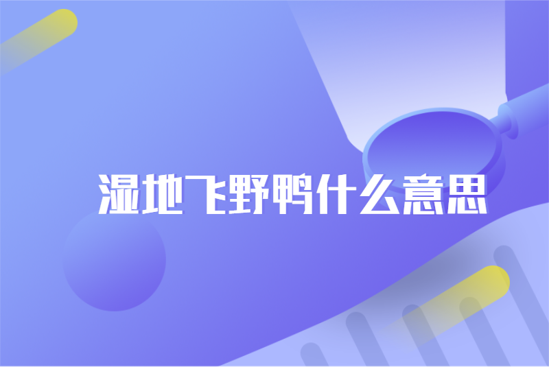 湿地飞野鸭什么意思