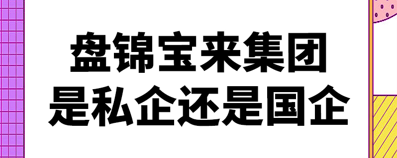 盘锦宝来集团是私企还是国企