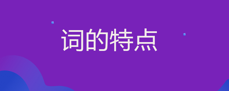 词的特点
