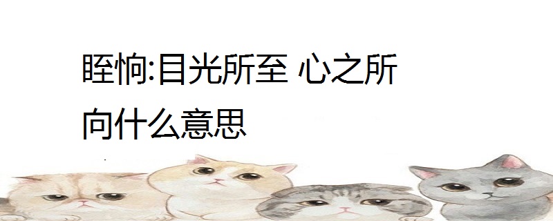 眰恦:目光所至 心之所向什么意思