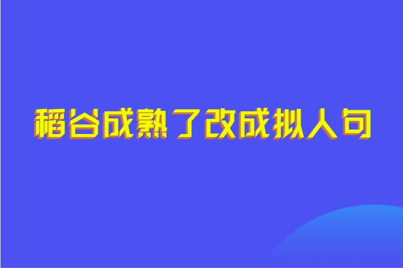 稻谷成熟了改成拟人句