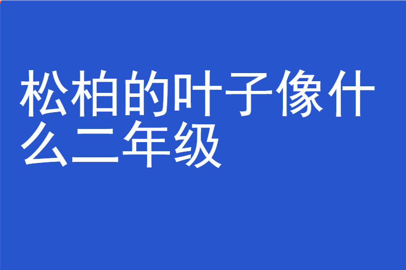 松柏的叶子像什么二年级