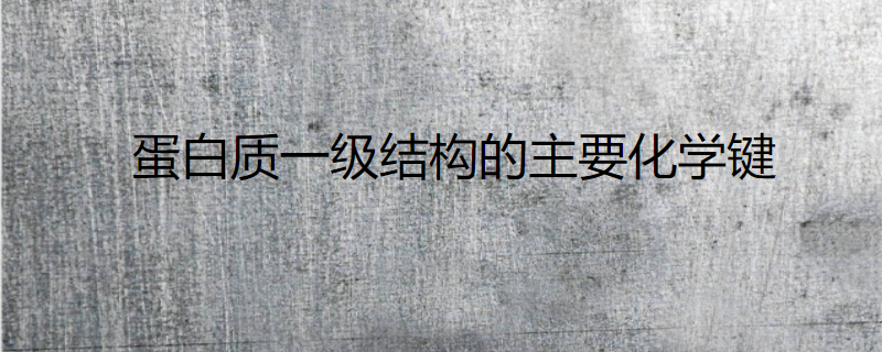 蛋白质一级结构的主要化学键