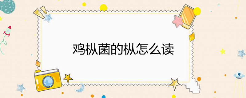 鸡枞菌中的枞读音是cōng.