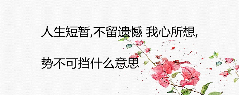 人生短暂,不留遗憾 我心所想,势不可挡什么意思