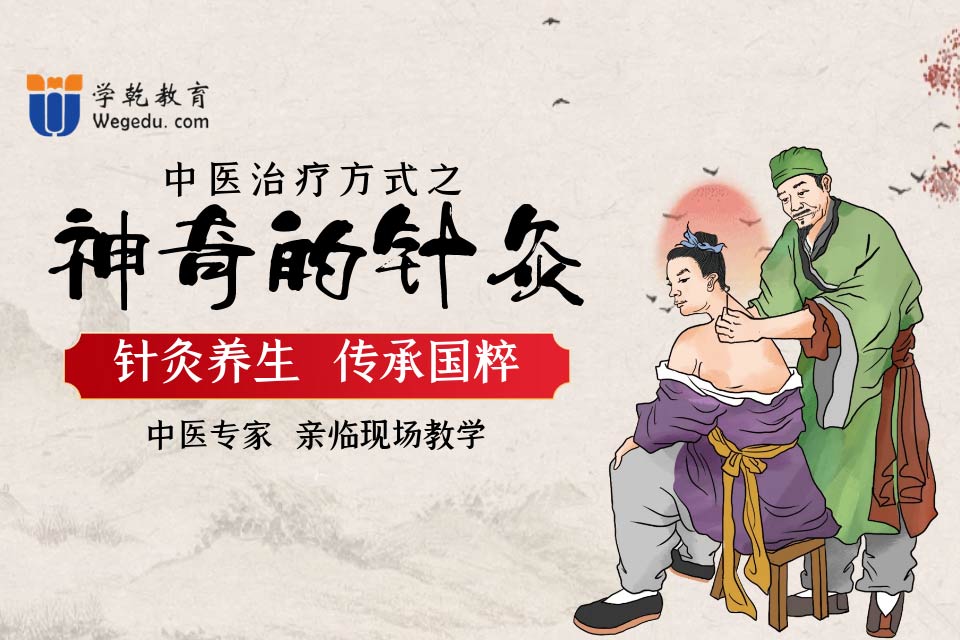 中医针灸养生调理培训